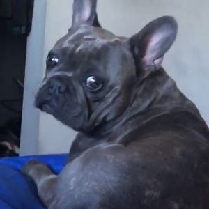 Meet your Posher, Carol